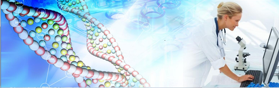 上海睿诺信息工程有限公司